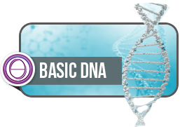Basic DNA ThetaHealing Course by Deb McCullough