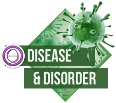 Disease & Disorders ThetaHealing Course by Deb McCullough